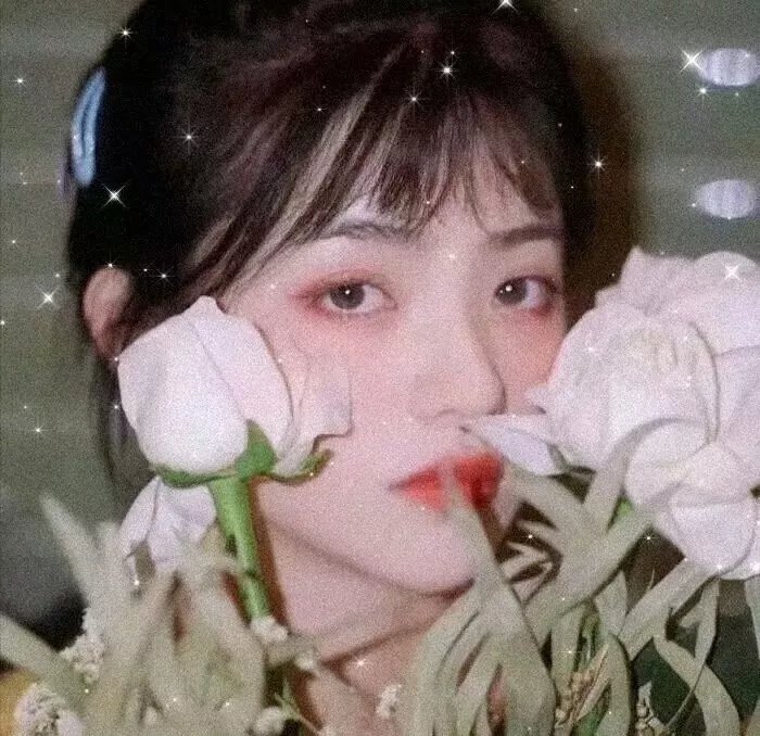 榜单热播