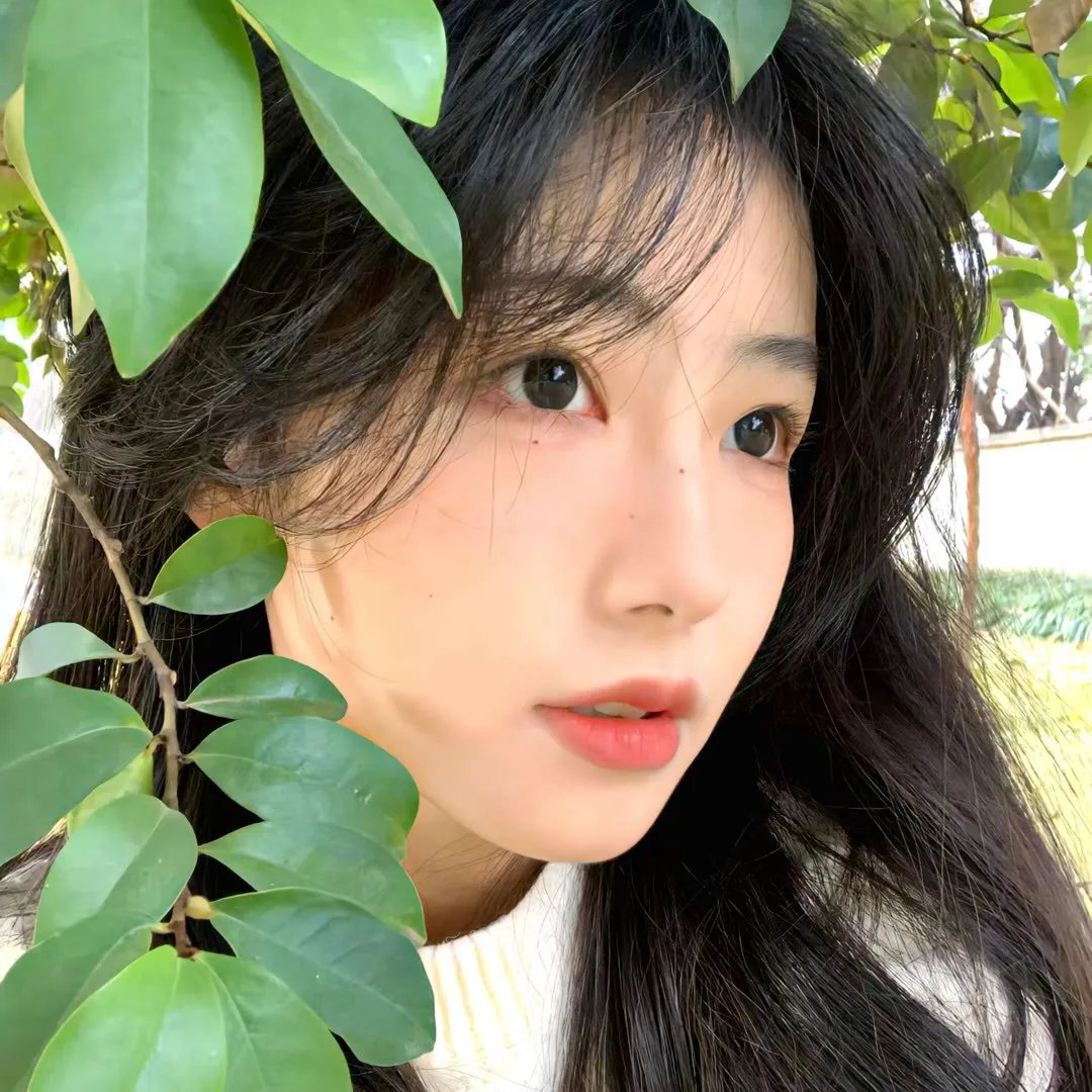 作家的洞穴