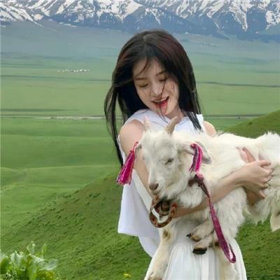 禽兽超人之无奸不摧